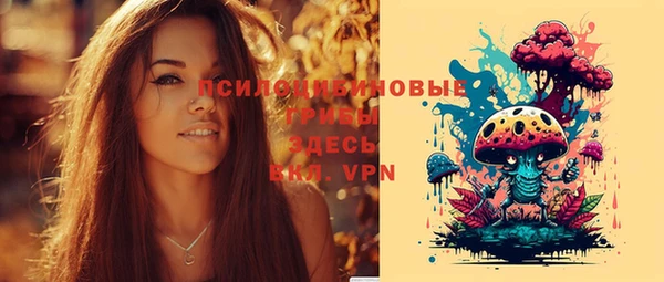 не бодяженный Алзамай