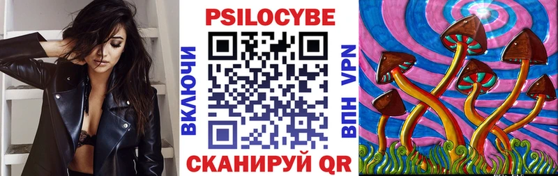 Псилоцибиновые грибы Magic Shrooms  blacksprut как войти  Брянск  где можно купить  