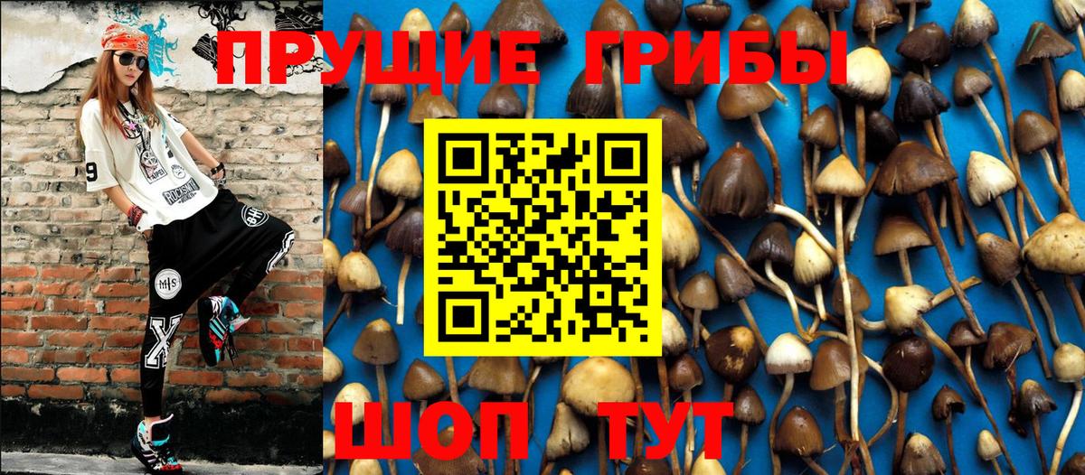 Брянск  Псилоцибиновые грибы ЛСД  Вход с VPN 